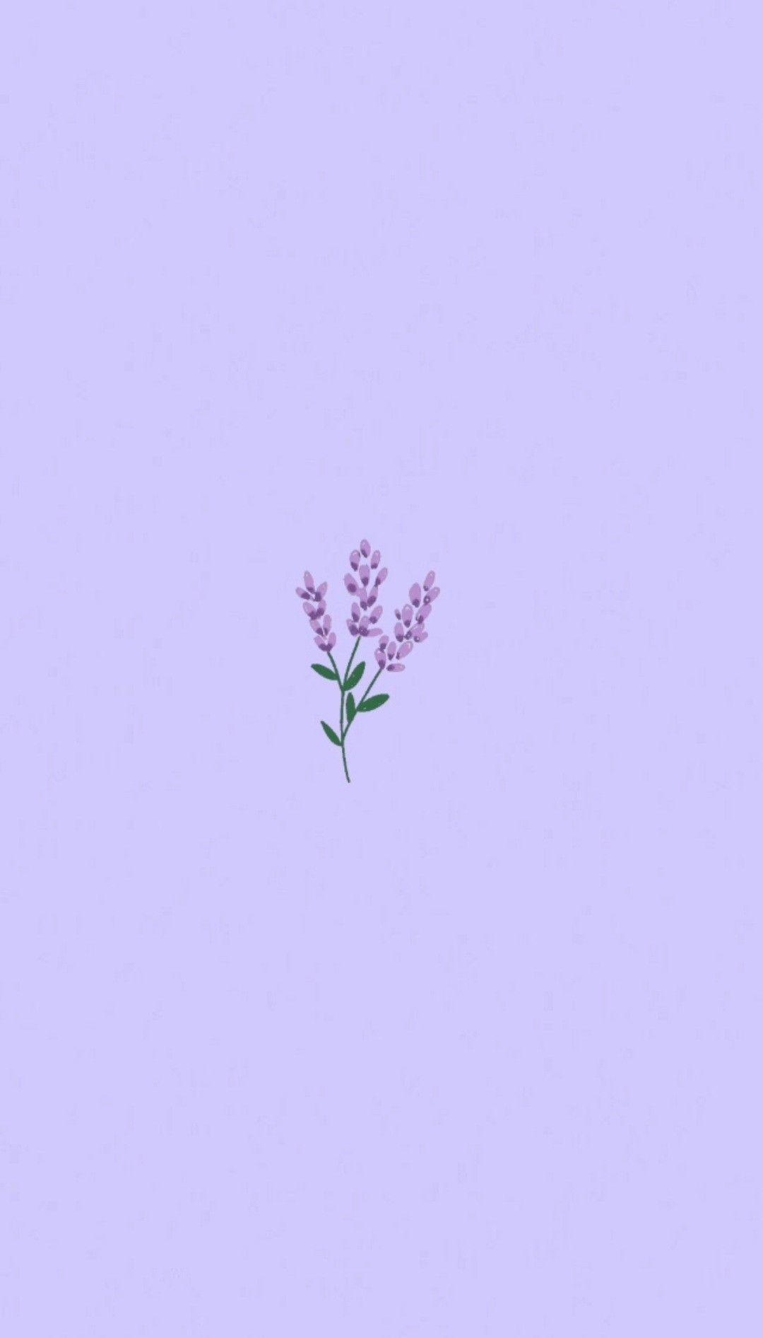 Simple Purple Flower Wallpapers - Top Free Simple Purple Flower Backgrounds  - WallpaperAccess