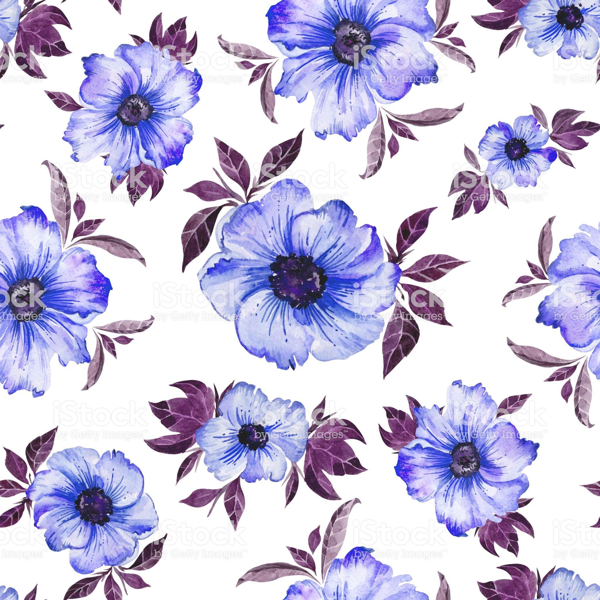 2048x2048 Những bông hoa đơn giản màu xanh lam đẹp với những chiếc lá màu tím trên nền trắng .. Hoa màu tím và trắng, Nền màu tím, Mô hình màu nước