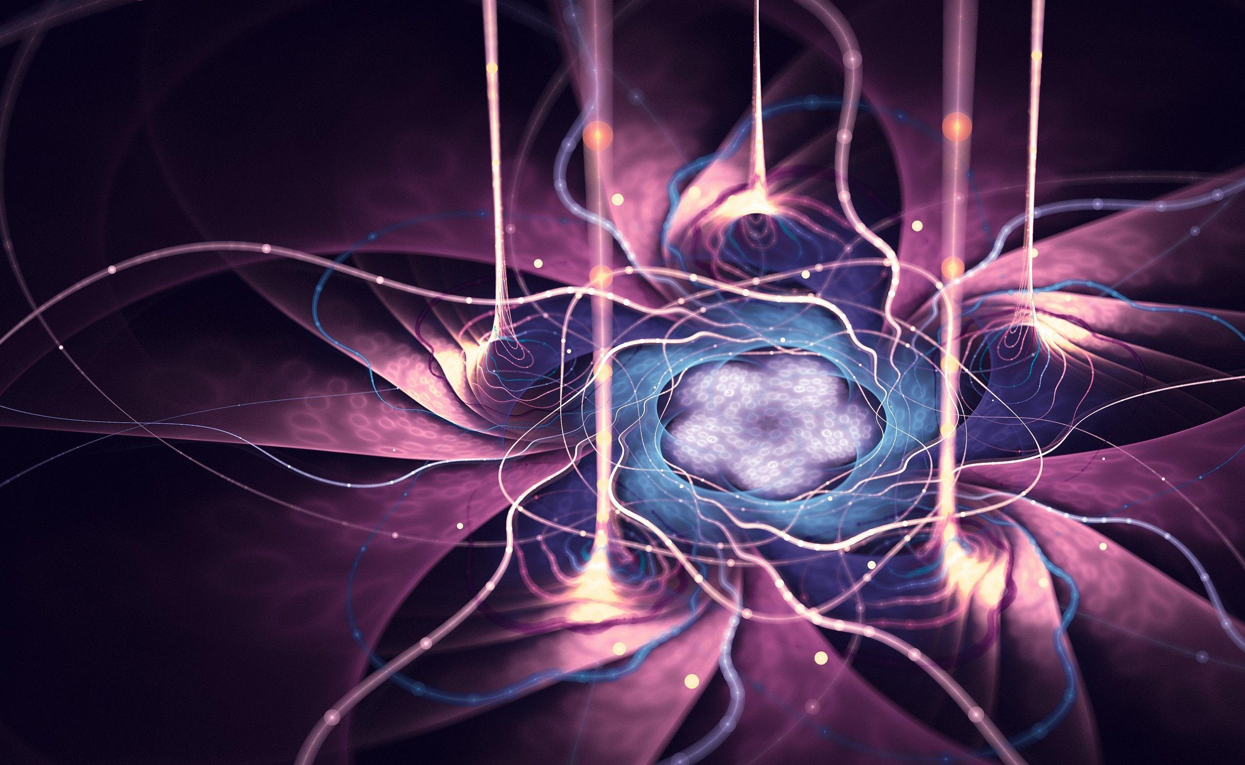 2560x1573 abstract fractal digital art fractal flowers glowing purple wallpaper