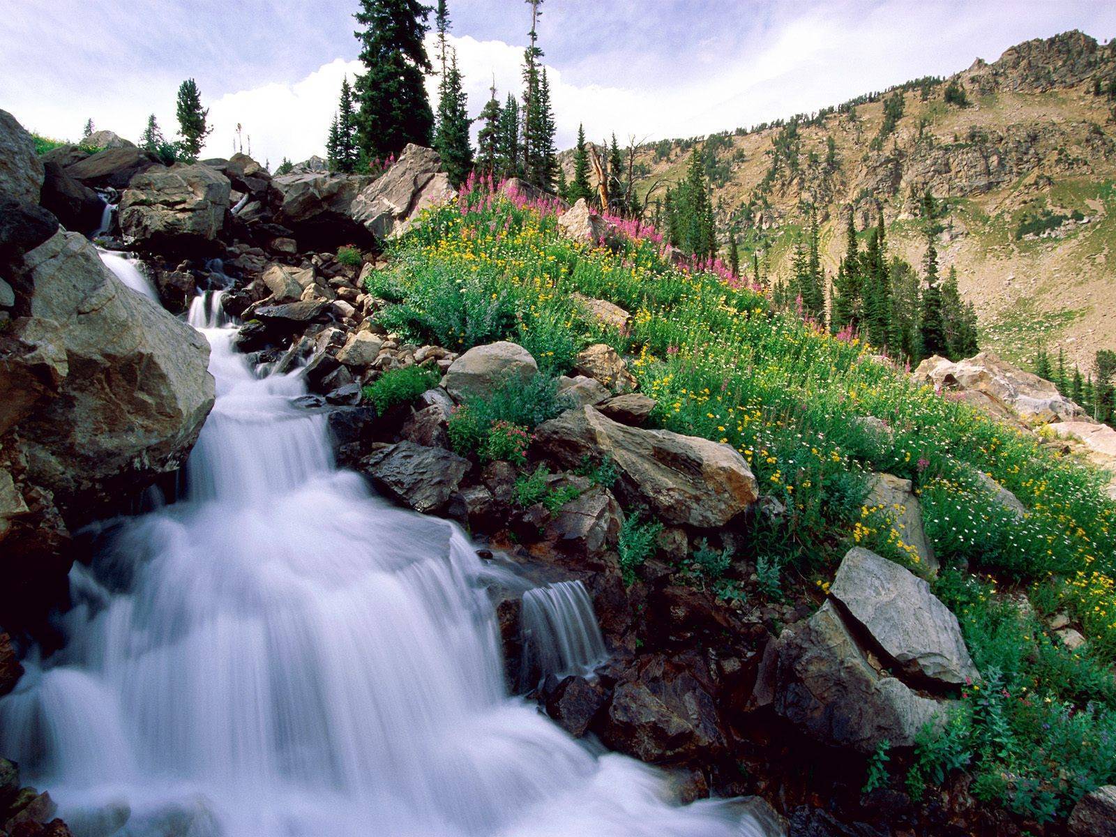 1600x1200 Wallpaper National Parks