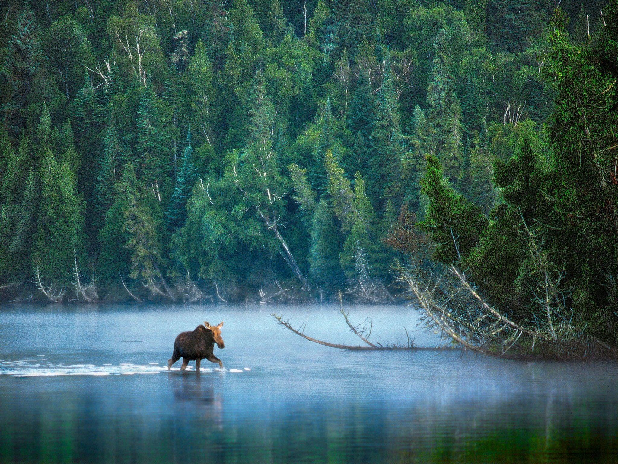 2048x1536 National Parks in Photo: The Most Beautiful Shot We Could Find of Every U.S. National Park. Condé Nast Traveler