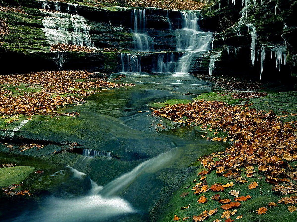 1200x900 Starved Rock State Park wallpaper HD. Download Free background