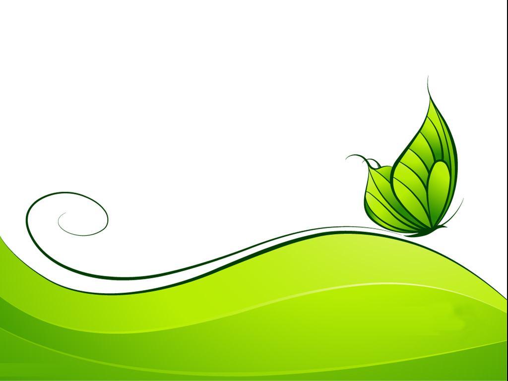 1024x768 Green Butterfly Wallpaper