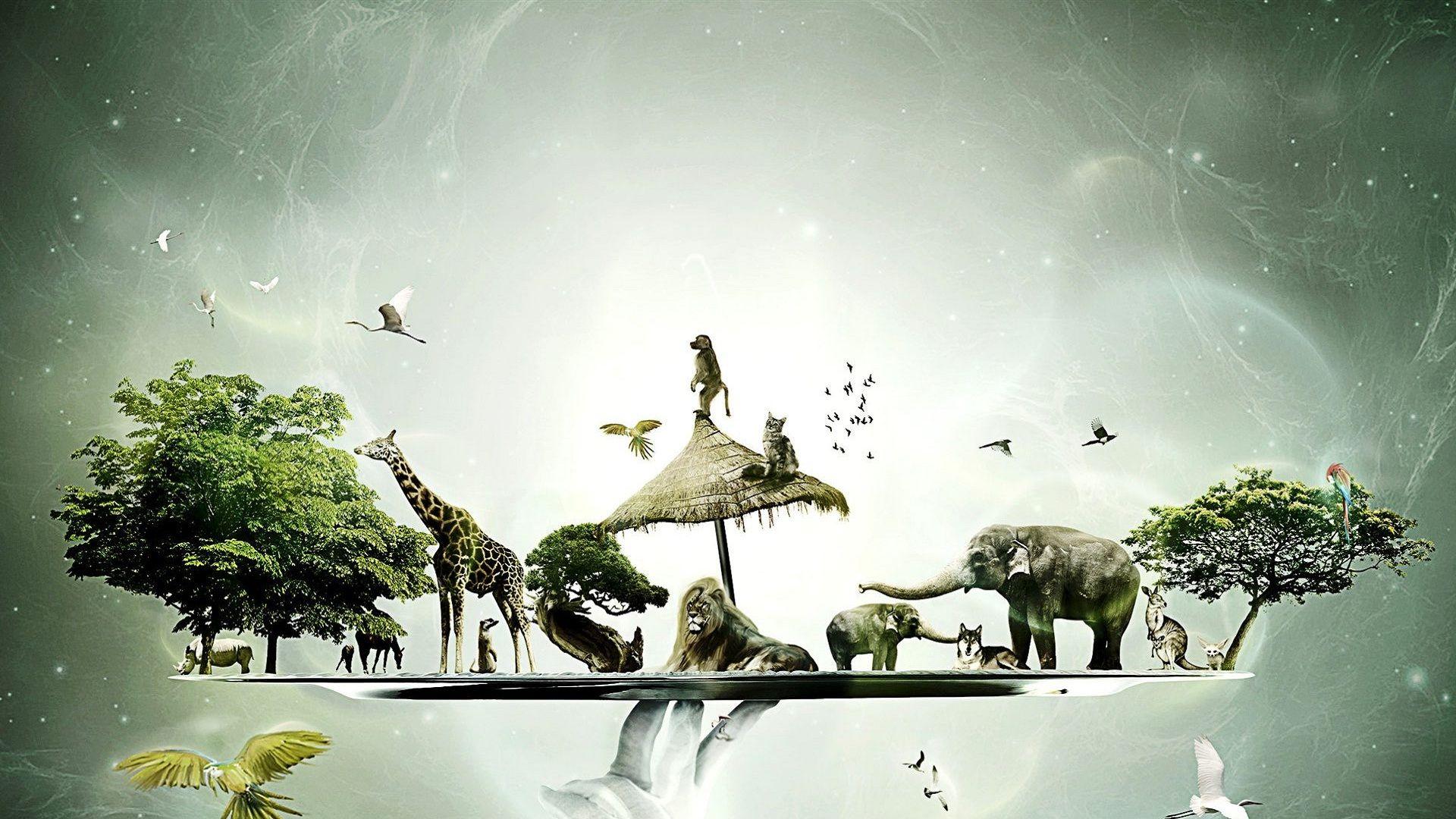 1920x1080 Awesome Wallpaper To Download For Your Desktop Background Development & Designing