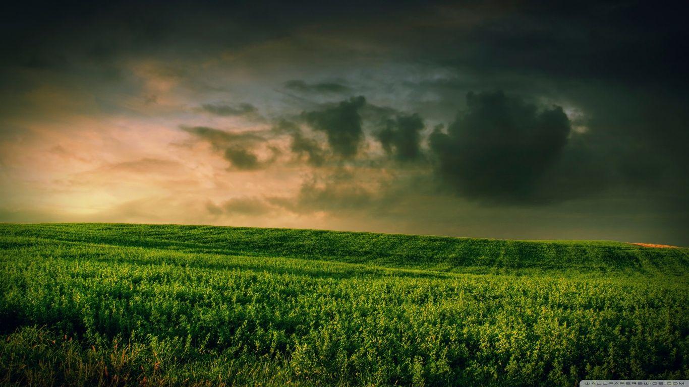 1366x768 Free download Amazing World Beautiful nature and flowers wallpaper [1366x768] for your Desktop, Mobile & Tablet. Explore Free Beautiful Nature Wallpaper. HD Nature Wallpaper, Beautiful Wallpaper For Desktop