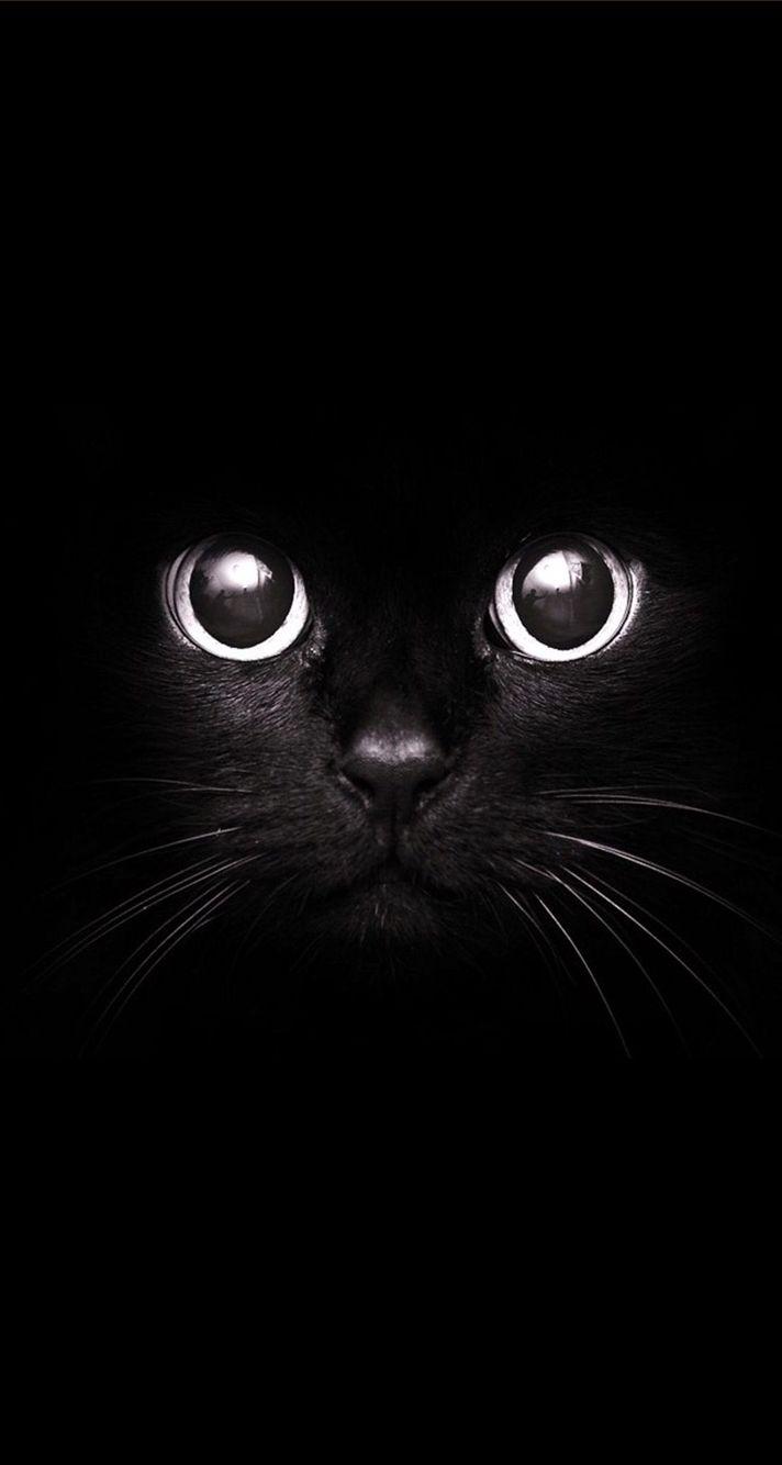 712x1334 Big Black Wallpaper