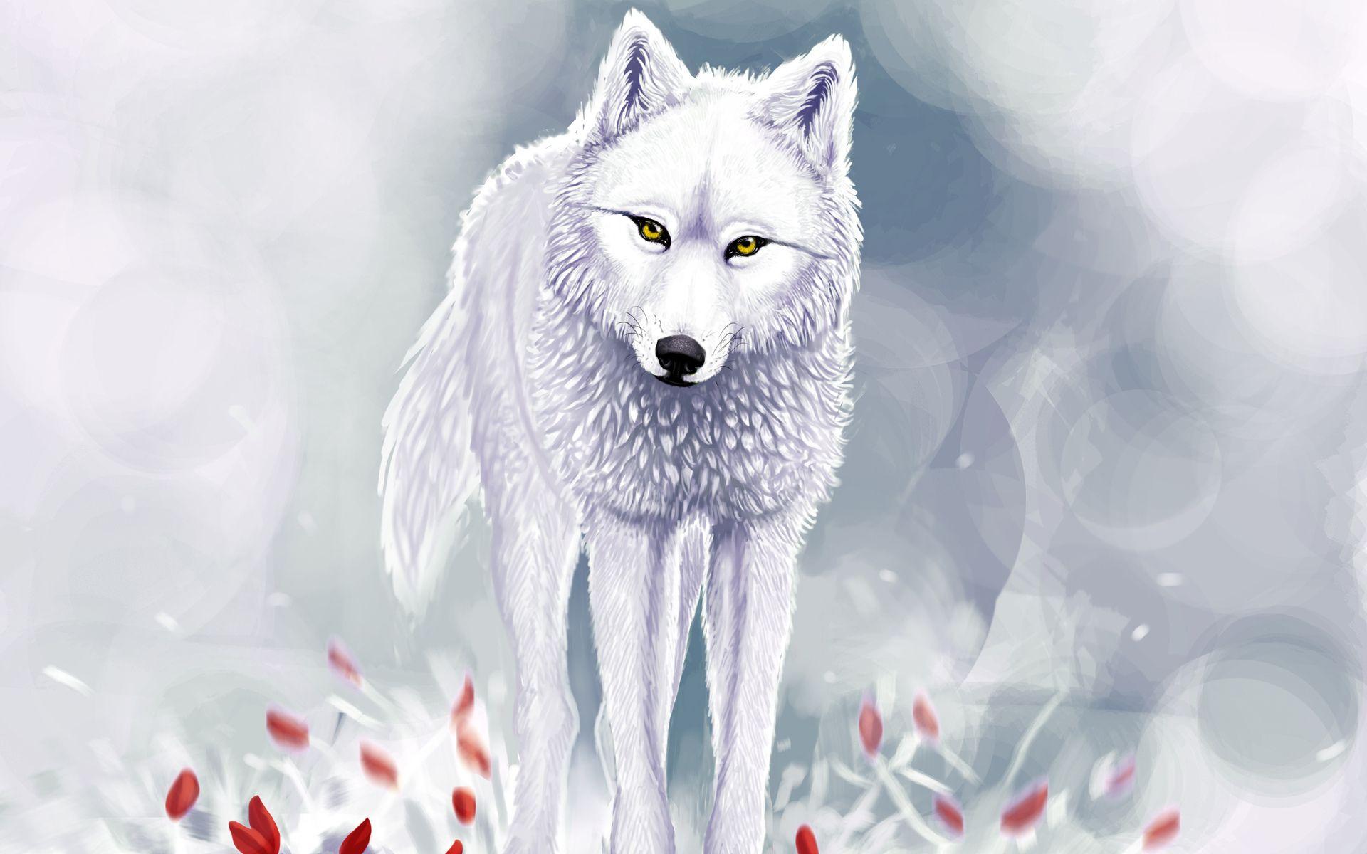 Anime Wolf Face Wallpapers - Top Free Anime Wolf Face Backgrounds -  WallpaperAccess