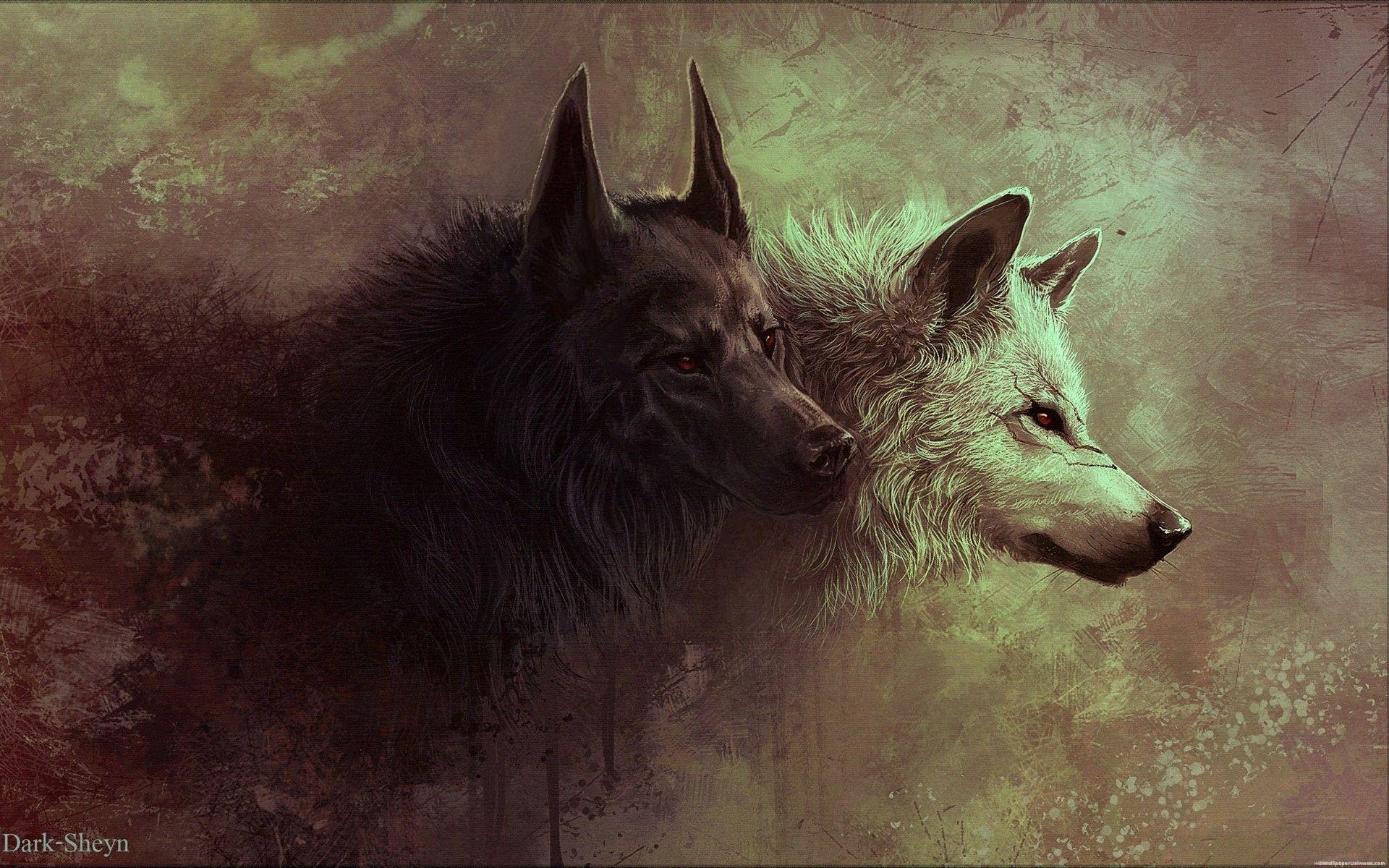 1920x1200 White Wolf Drawing Wallpaper