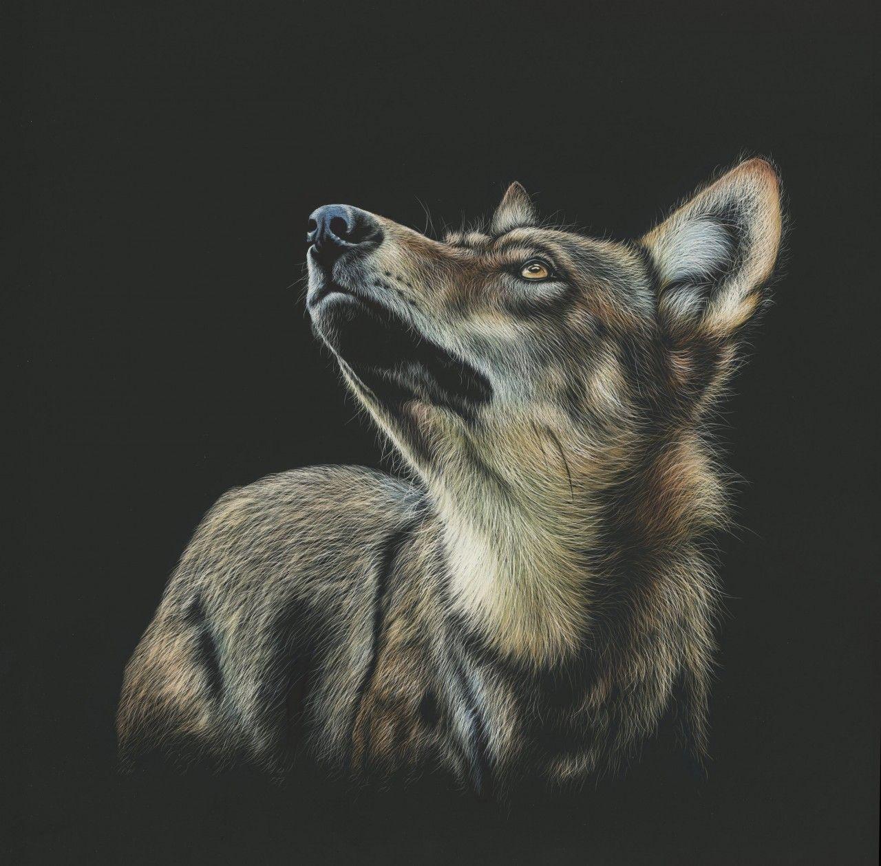 1280x1259 wolf art drawing 3D Models. Free