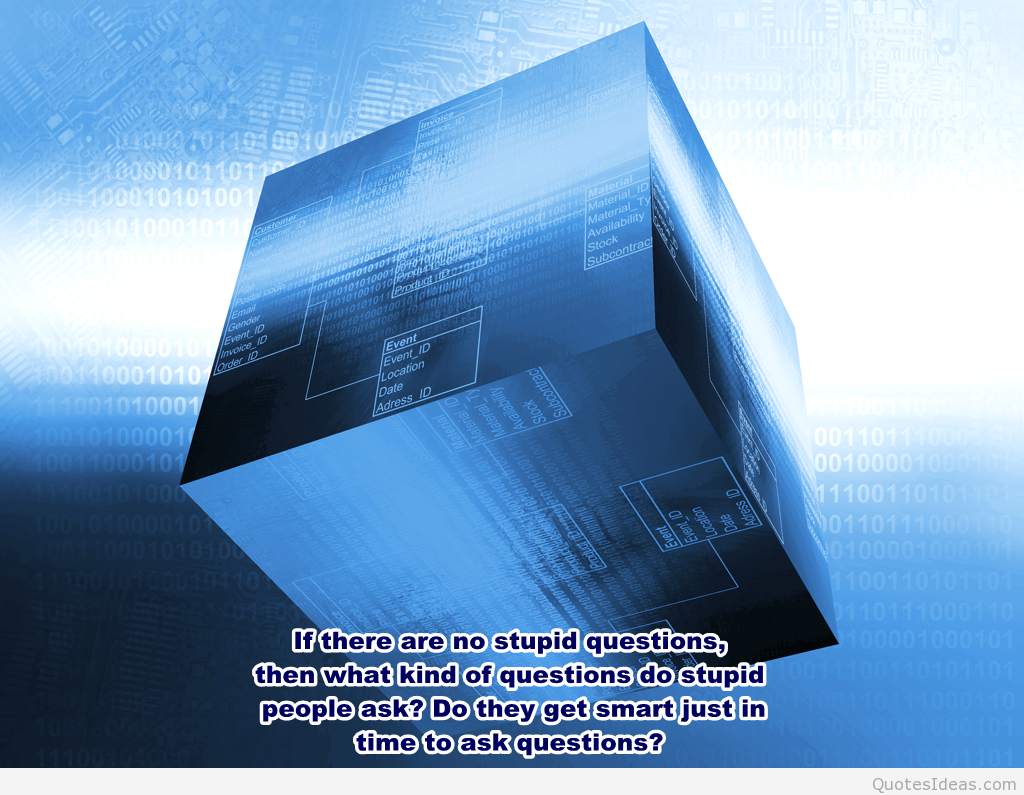 1024x795 Business Intelligence Quotes. QuotesGram
