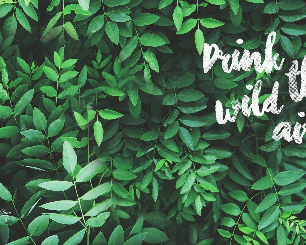 1280x1024 Free download 55 Tropical Leaves Desktop Wallpaper Download [1700x1024] for your Desktop, Mobile & Tablet. Explore Tropical Desktop Background. Tropical Island Wallpaper, Island Wallpaper, Island Picture Wallpaper