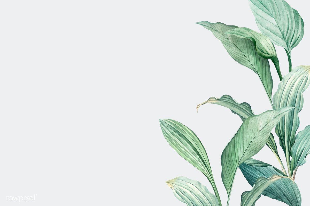 1200x800 Download premium vector of Hand drawn tropical leaves on a white. Watercolor desktop wallpaper, Computer wallpaper desktop wallpaper, Aesthetic desktop wallpaper
