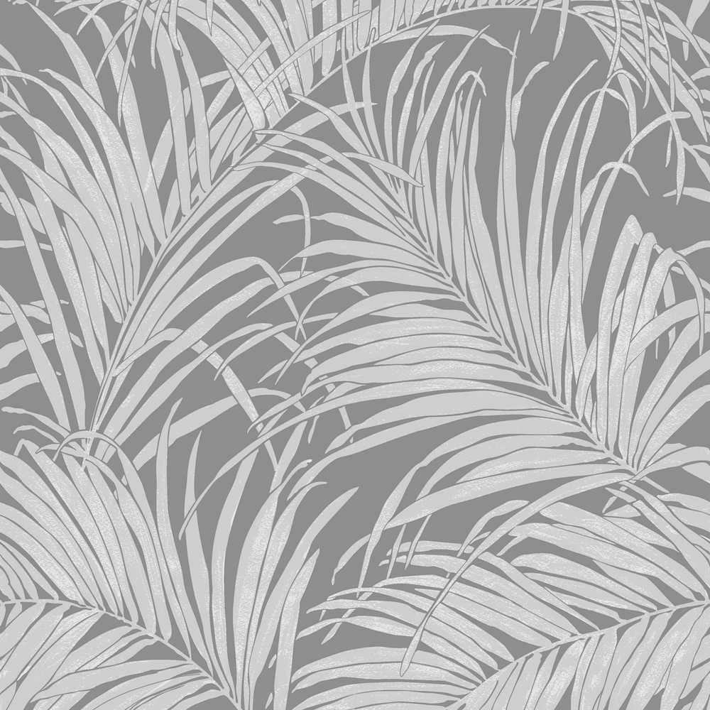 1000x1000 Aesthetic Black And White Palm Tree Wallpaper