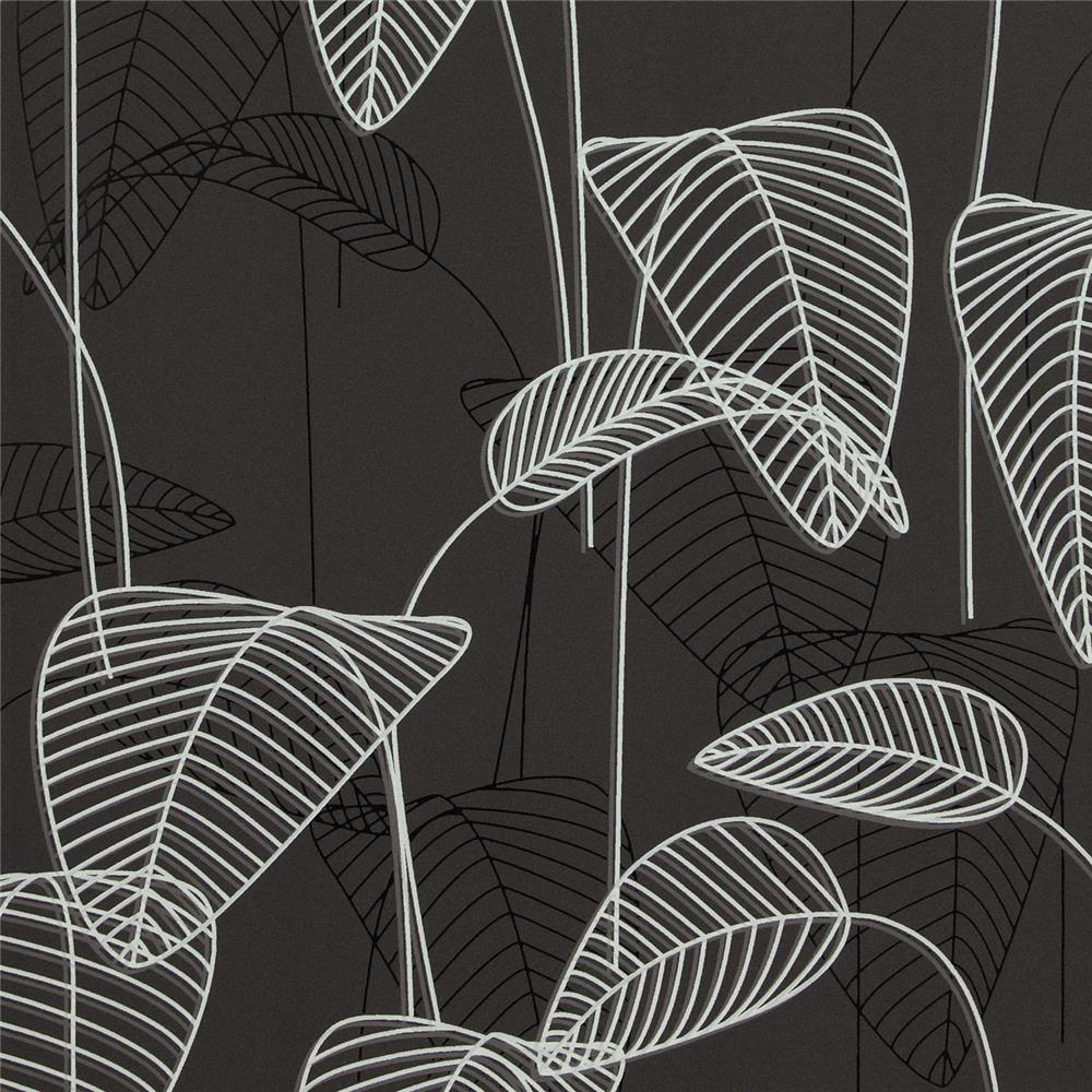 Black and White Palm Leaves Wallpaper wall mural  ColorayDecorcom