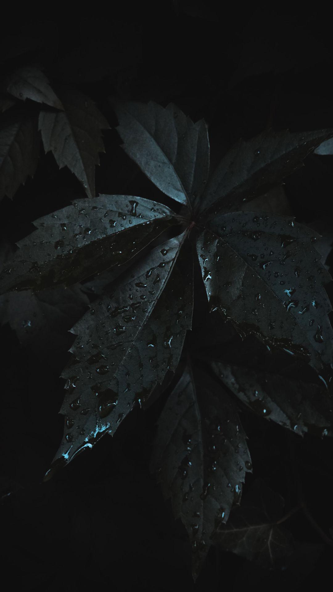 1080x1920 Dark Aesthetic Wallpaper Background For iPhone You'll Love. Glory of the Snow