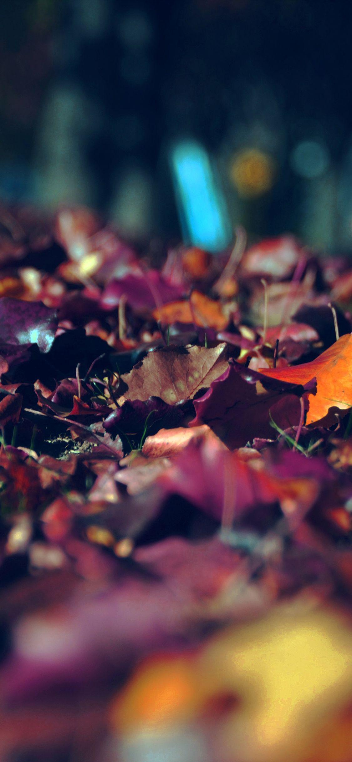 1125x2436 Fall Wallpaper For iPhone X