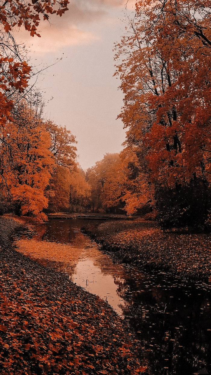 700x1244 Autumn 2021 Wallpaper