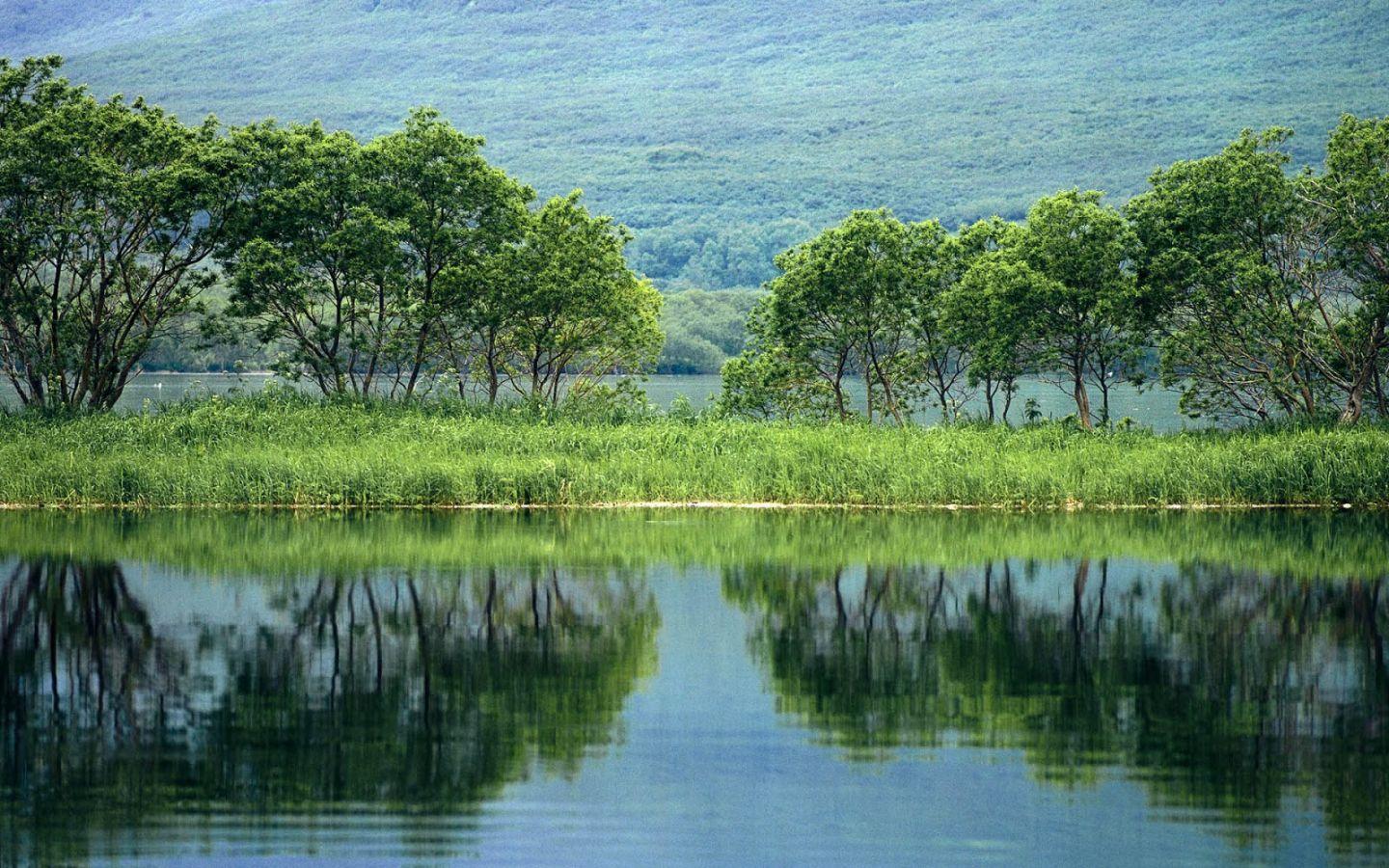 1440x900 Free download Green scenery wallpaper Background Wallpaper [1600x1000] for your Desktop, Mobile & Tablet. Explore Scenery Wallpaper Background. HD Scenery Wallpaper, Free Fall Scenery Wallpaper Background