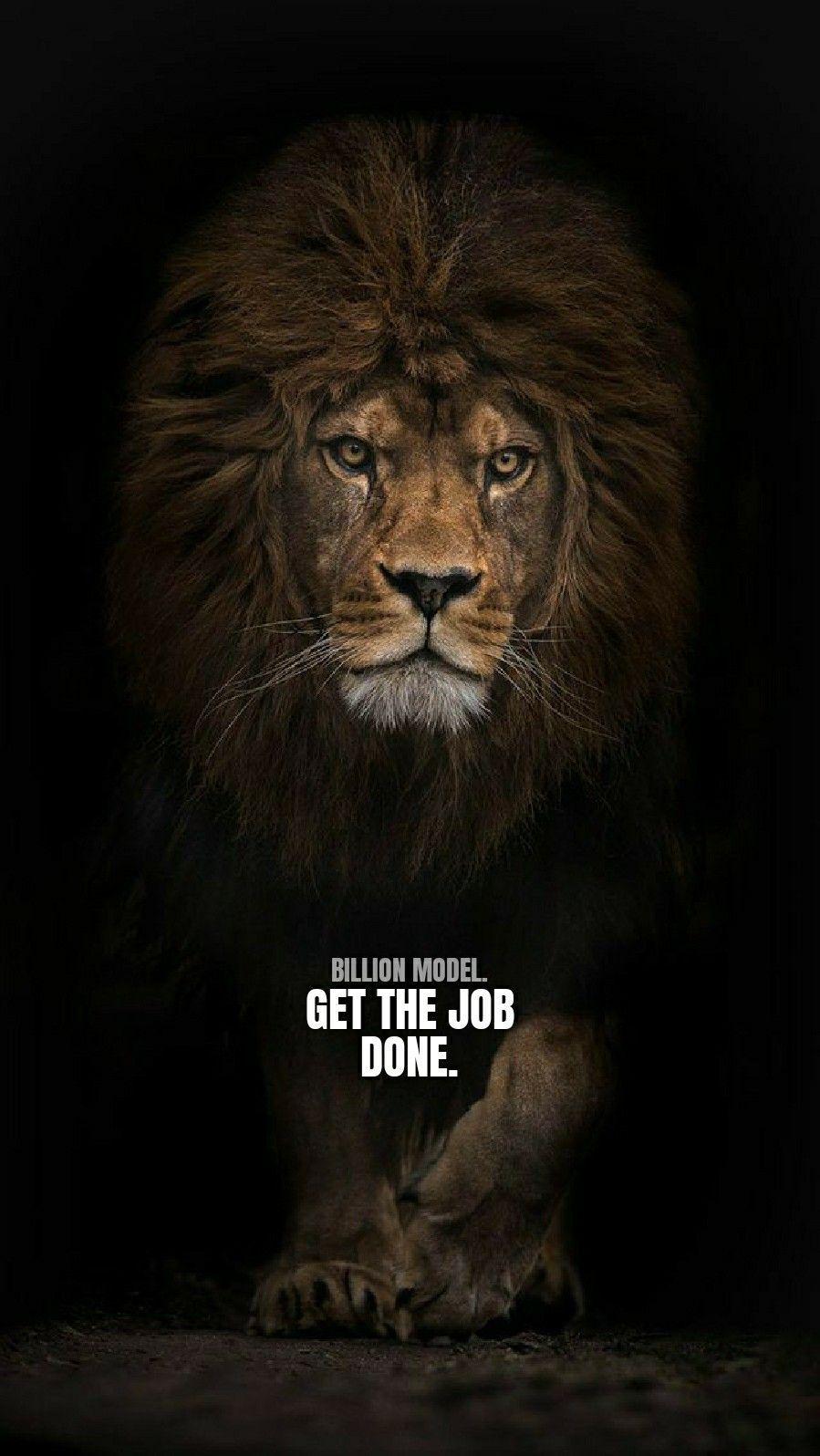 899x1596 Lion Quotes Wallpaper