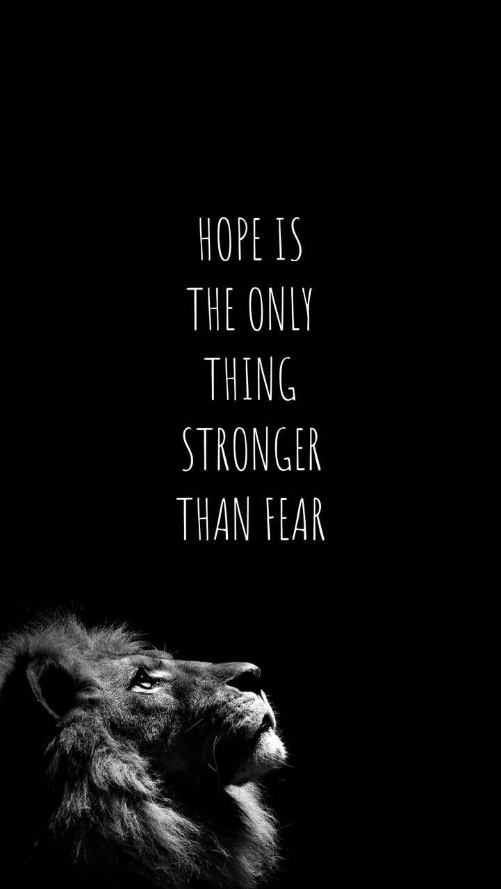 721x1280 Strong Lion wallpaper