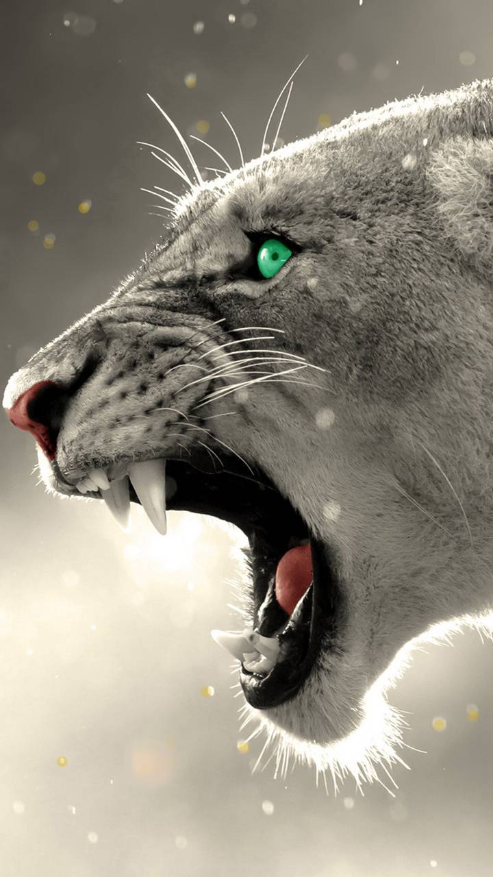 720x1280 mad lion wallpaper