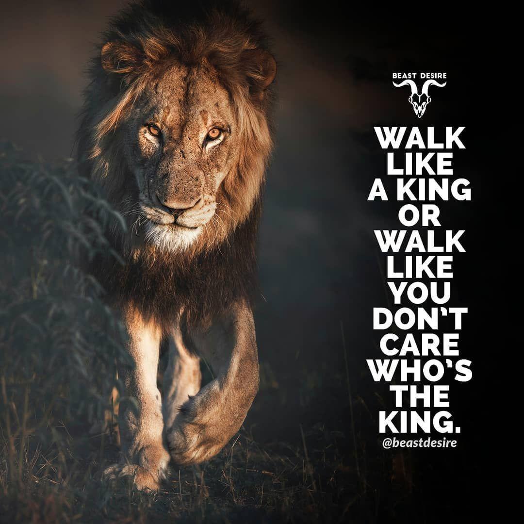 1080x1080 Lion Quotes Wallpaper
