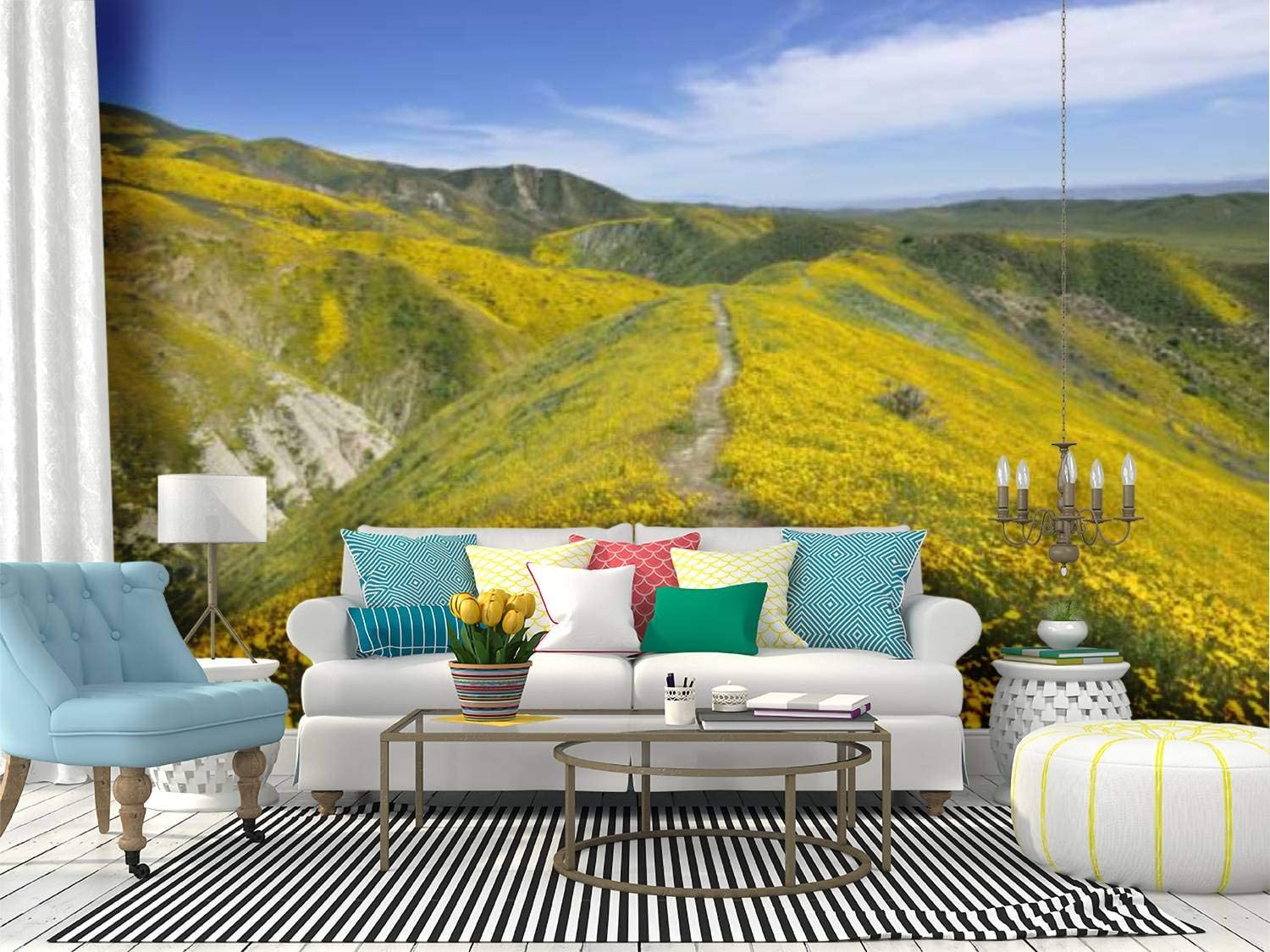 1500x1125 Wall Mural spring wildflower in temblor range spring desert stock picture, Peel and Stick Wallpaper Self Adhesive Wallpaper Large Wall Sticker Removable Vinyl Film Roll Shelf Paper Home Decor: Home