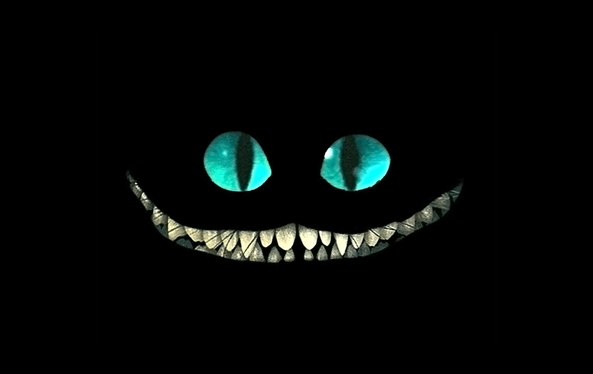 1900x1200 Cheshire Cat Wallpaper for Laptop