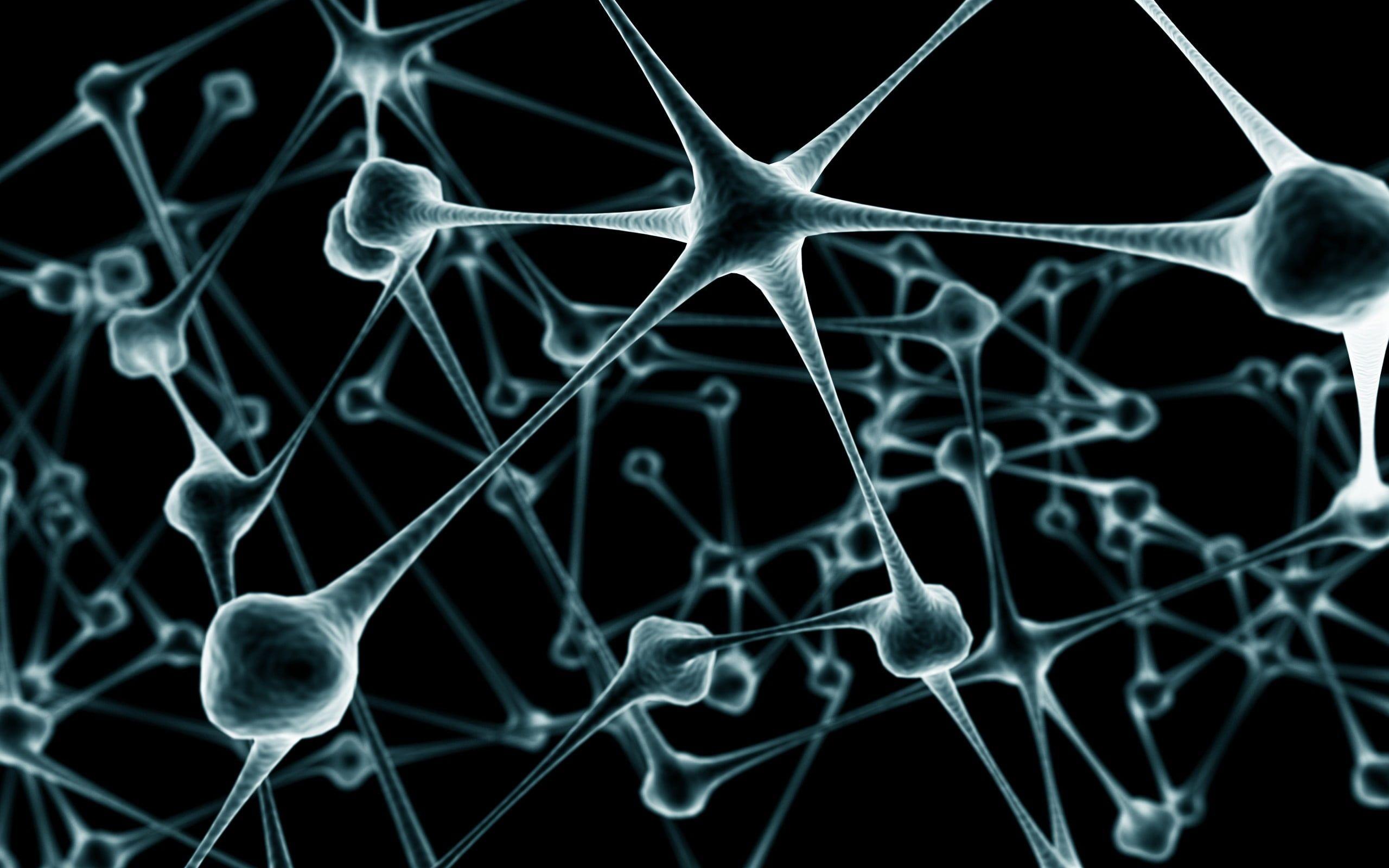 2560x1600 Microbiology Wallpaper