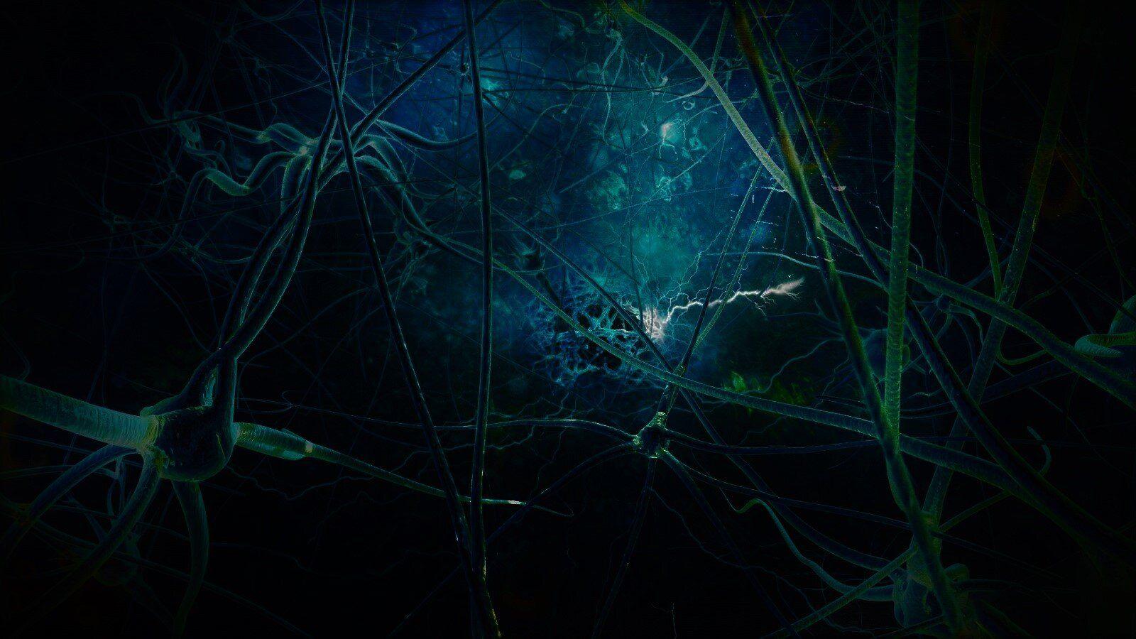 1600x900 DNA Proxi