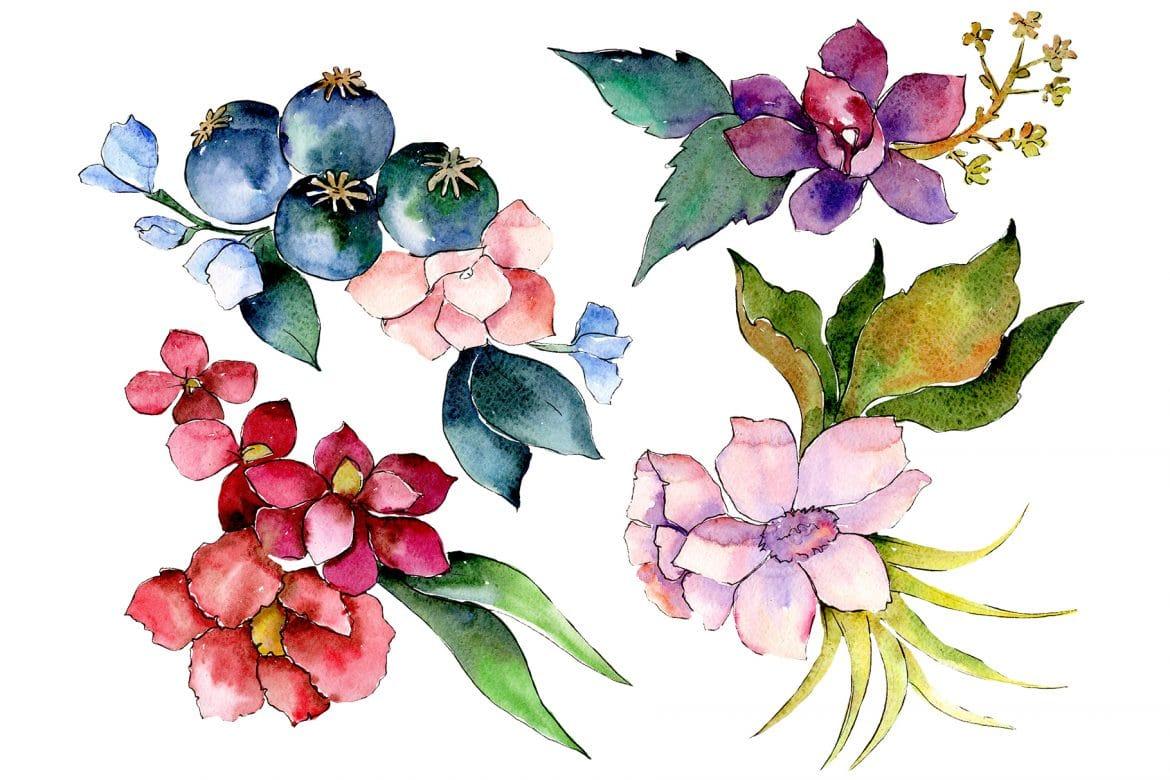 1170x780 Bouquet of tropical colorful flower PNG watercolor