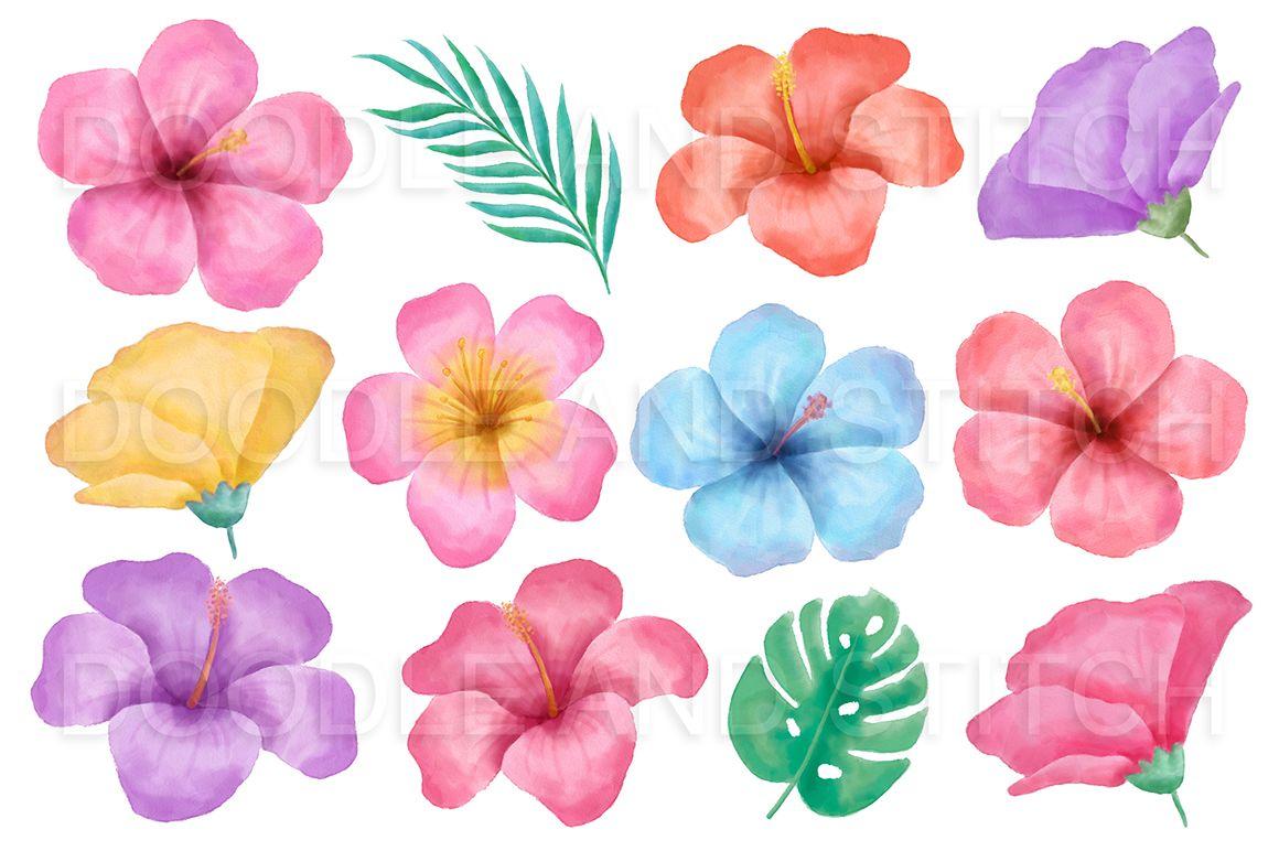 1160x772 Watercolor Tropical Flowers