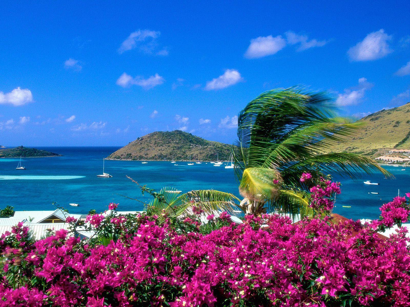 1600x1200 Summer Wallpaper Part 2. Beach wallpaper, 3D nature wallpaper, Nature wallpaper