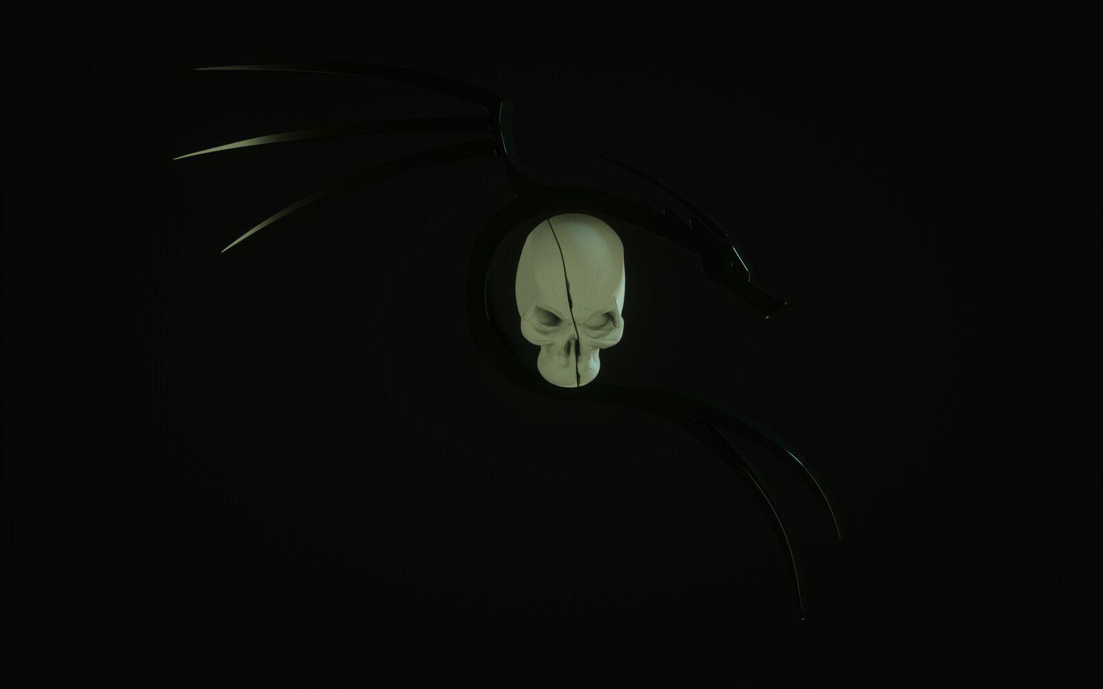 1600x1000 Kali Linux Wallpaper, Yasiek Trap
