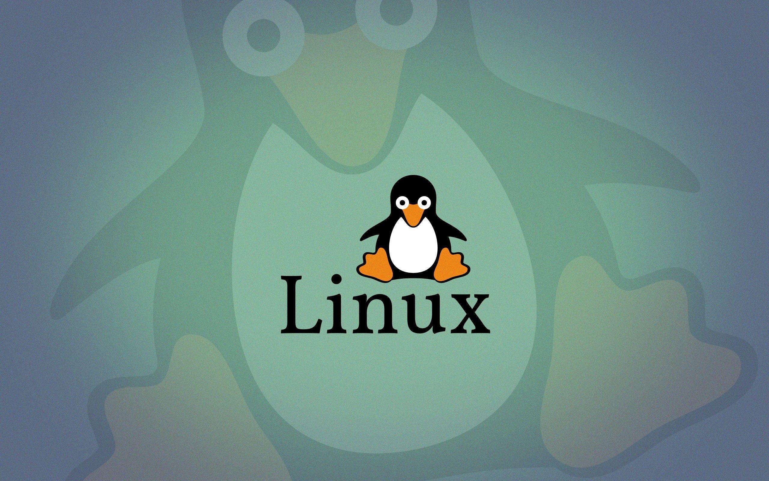 2560x1600 Linux Penguin Logo Wallpaper .