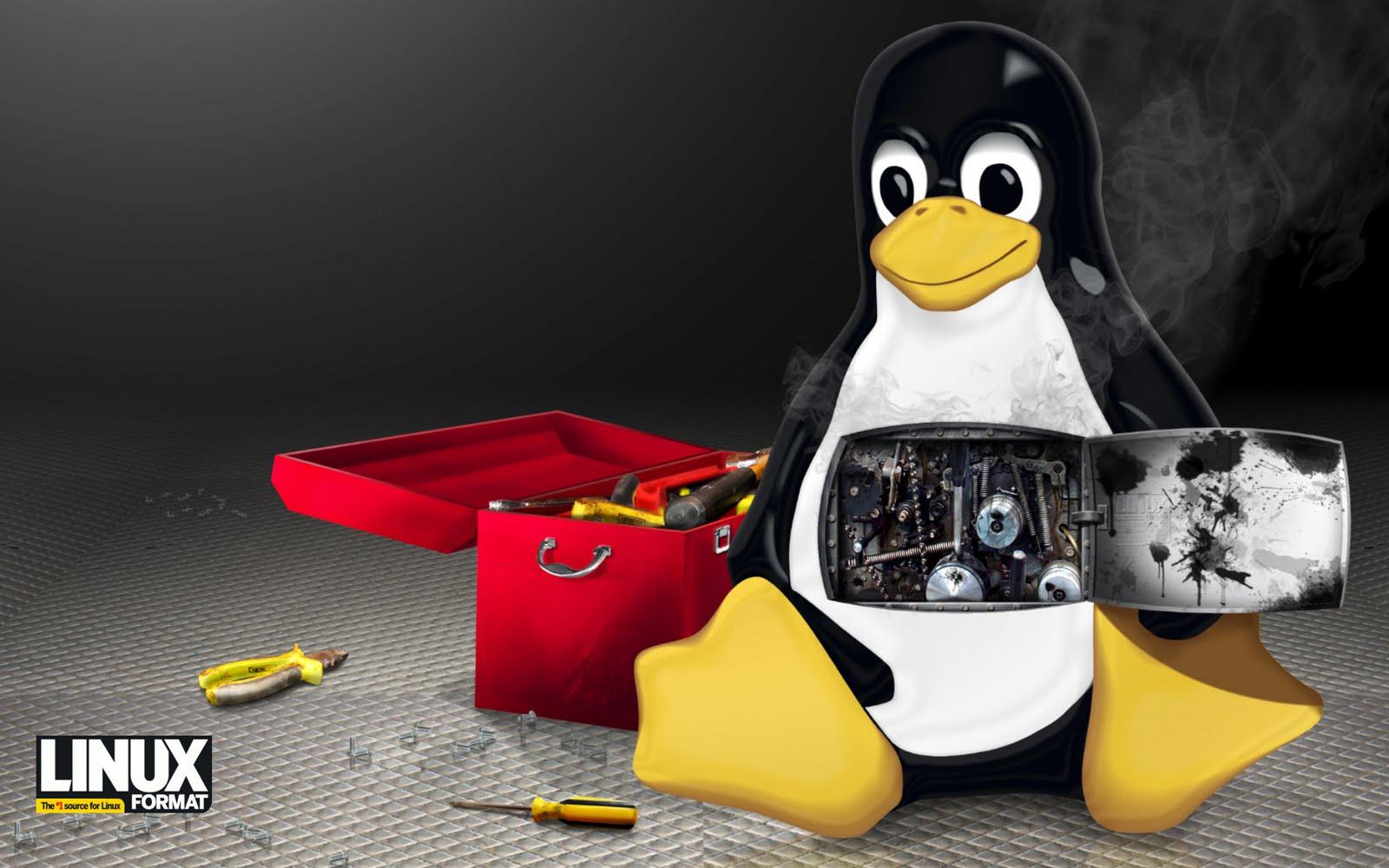 1600x1000 Free download Linux Logo and HD Background Desktop Wallpaper [1600x1000] for your Desktop, Mobile & Tablet. Explore Linux Penguin Wallpaper. Linux HD Wallpaper, Linux Tux Wallpaper, Linux Girls Wallpaper