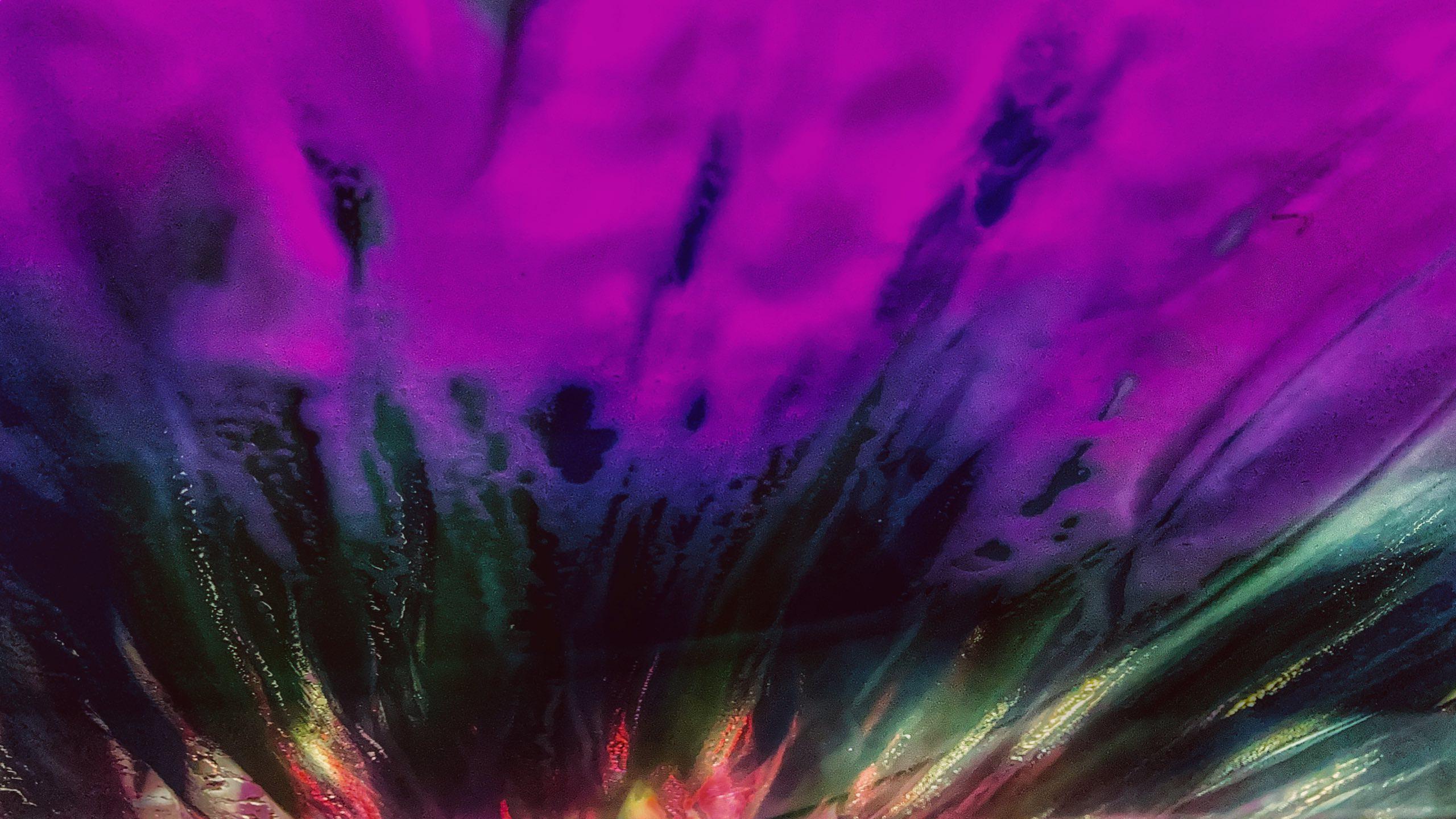 2560x1440 Purple 4K wallpaper for your desktop or mobile screen free and easy to download