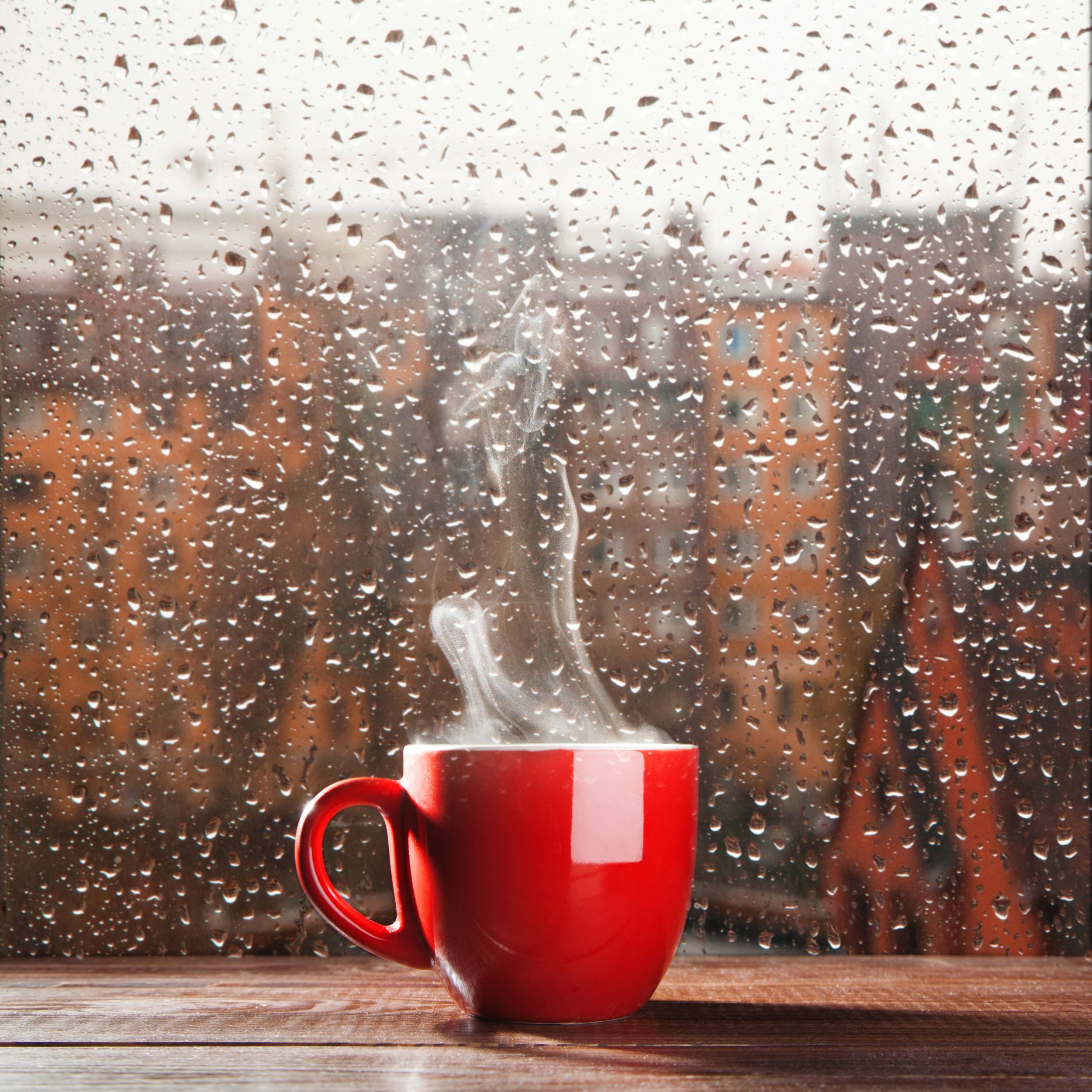 2500x2500 Rain Day Wallpaper