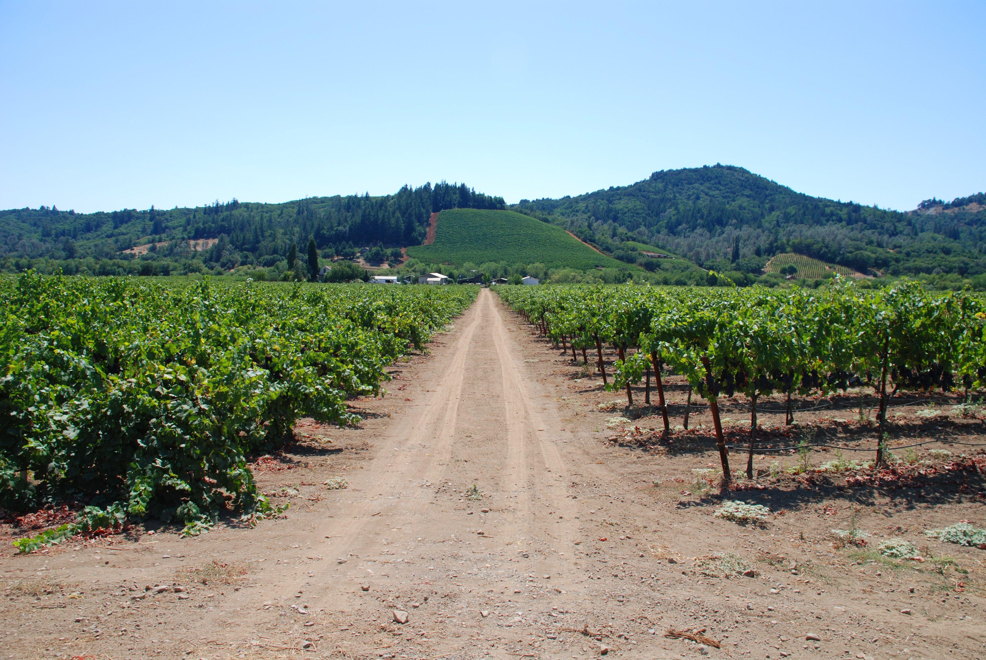 3872x2592 Sonoma Wallpaper. Sonoma Wallpaper, Sonoma Winery Wallpaper and Sonoma GMC Wallpaper