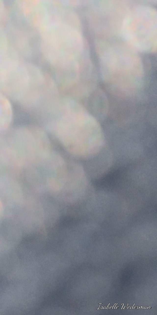 640x1280 Aesthetic Bubbles wallpaper