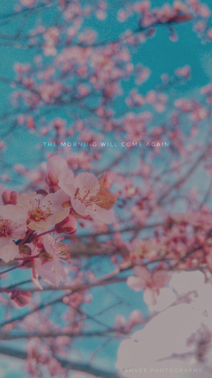 720x1280 Plum Blossom Wallpaper : BTS Quotes. Bts spring day, Flower wallpaper, Spring day