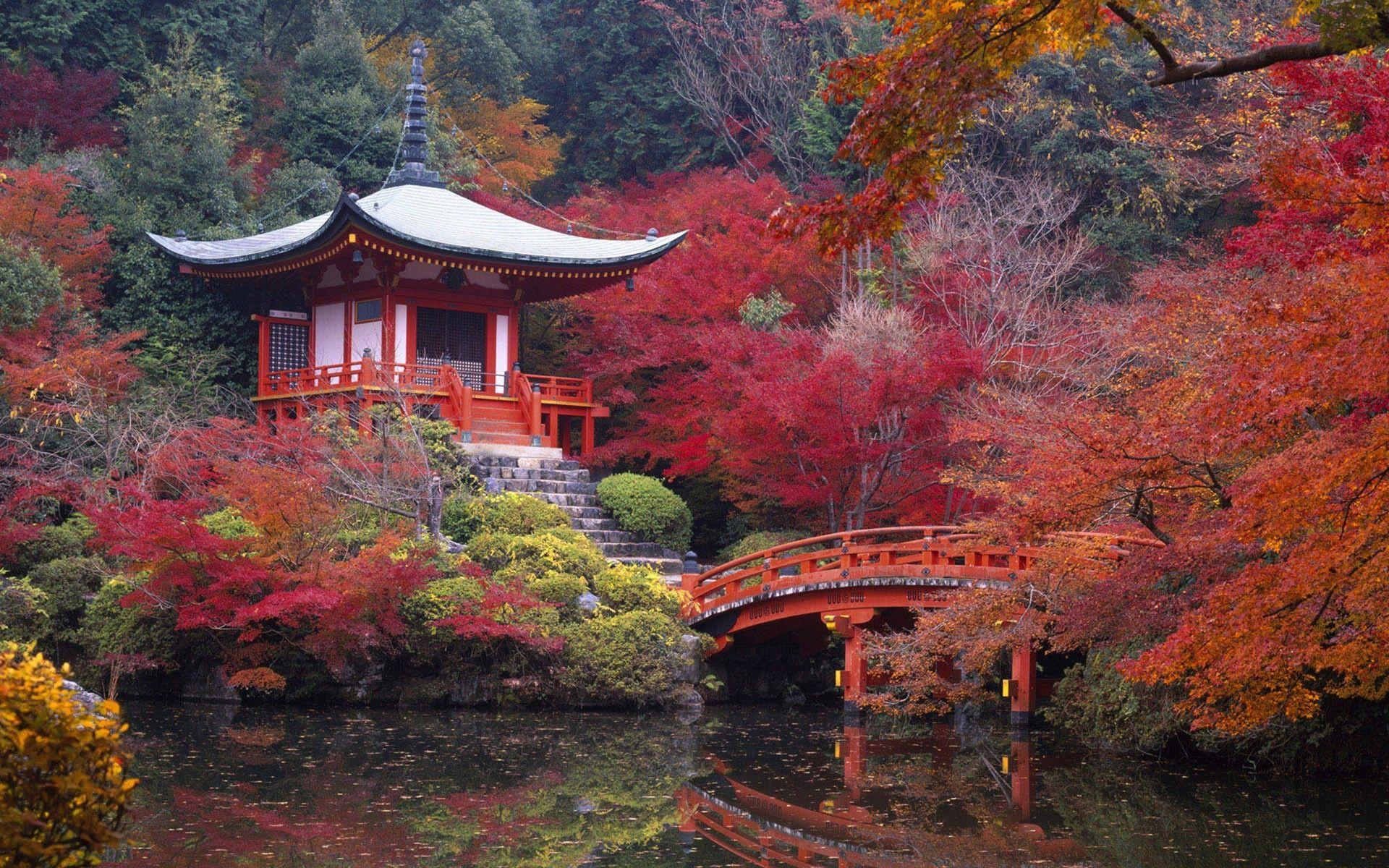 1920x1200 Misc: Chinese Japan Autumn Oriente Red Beautiful Desktop Photo
