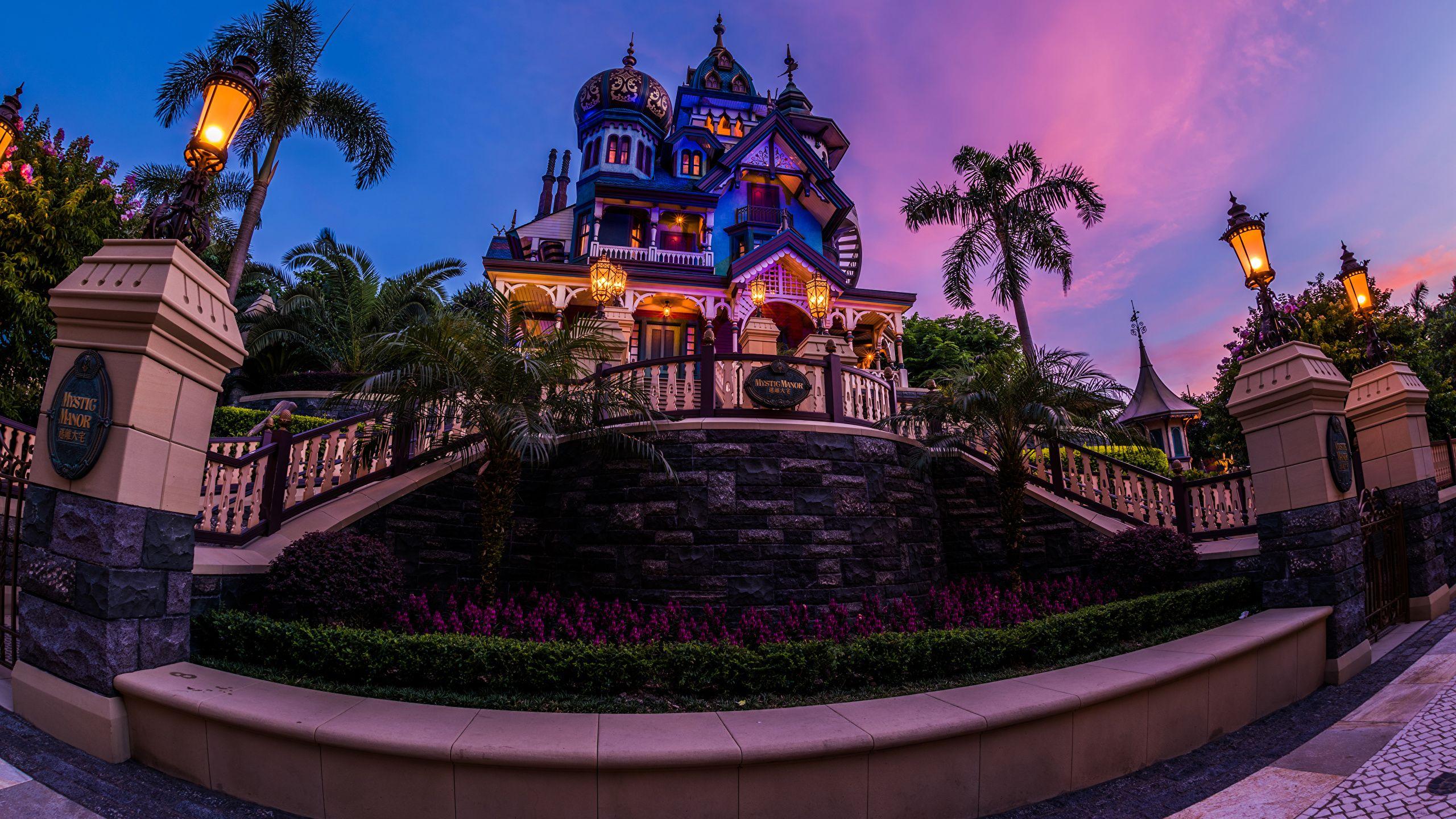 2560x1440 Wallpaper Hong Kong Disneyland park Palms Evening Street 2560x1440