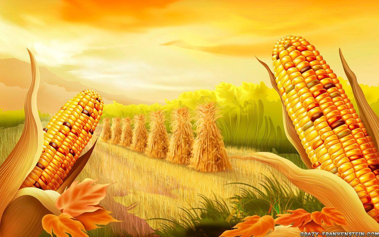 1280x800 Autumn Corn .crazy Frankenstein.com. Happy Thanksgiving Day, Thanksgiving Day, Happy Thanksgiving
