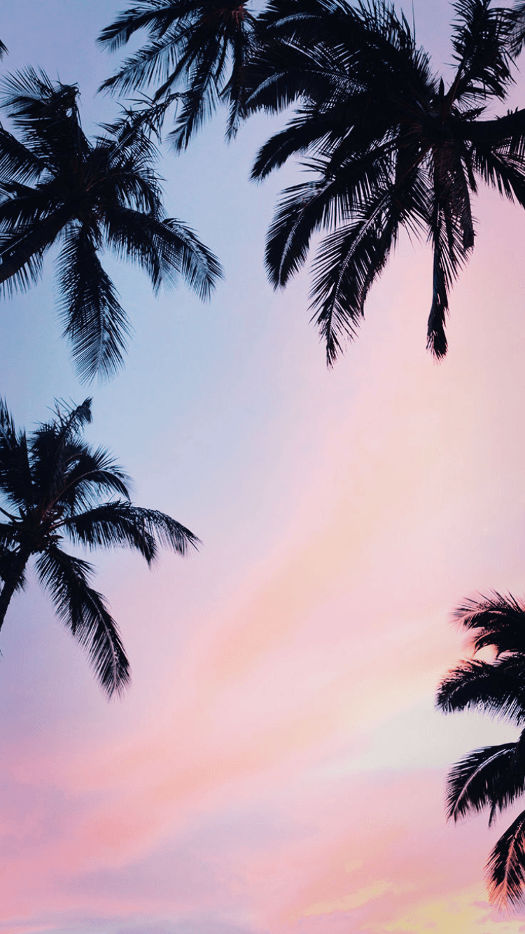 750x1334 Aesthetic Palm Tree Neon Background .