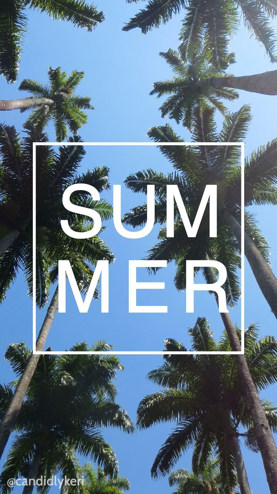 1080x1920 Palm Tree Wallpaper background picture
