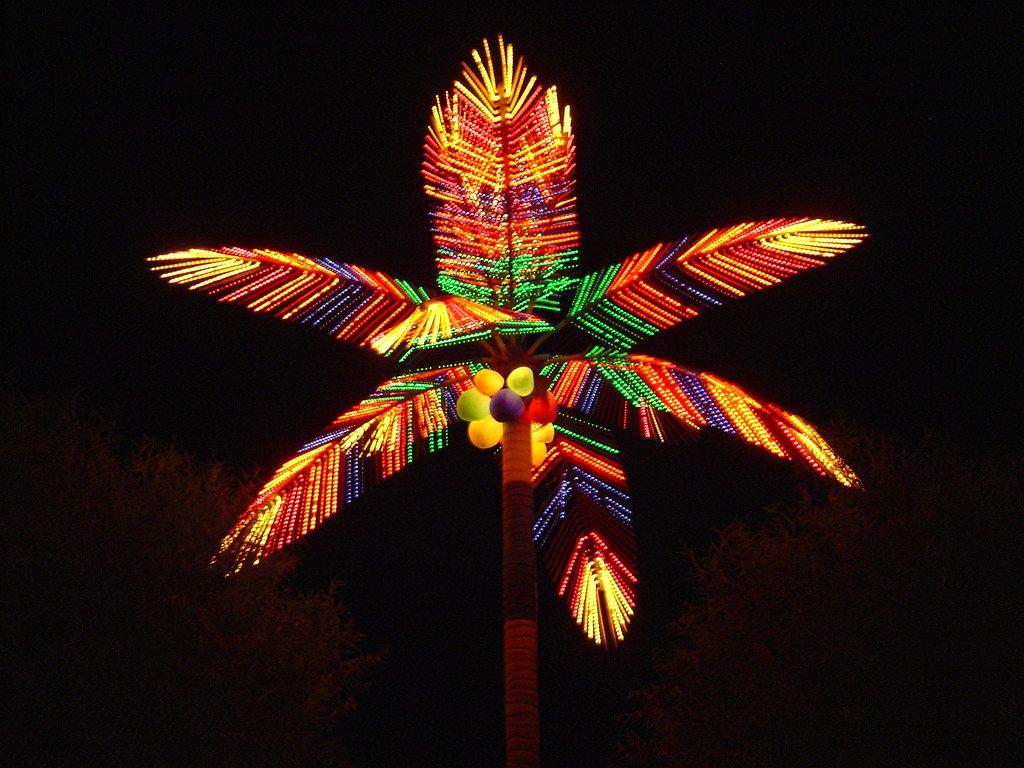 1024x768 Neon palm tree goodness. Art. Korla by night is gorgeous. W