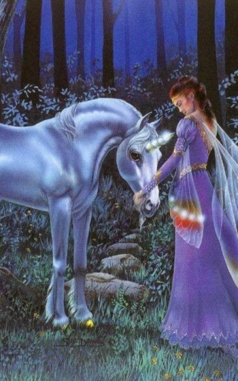 800x1280 Abstract, fairy, horse, unicorn wallpaper • Wallpaper For You HD Wallpaper For Desktop & Mobile