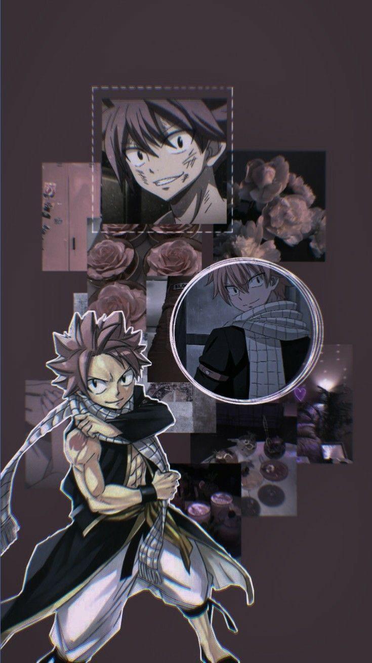 735x1309 обои Fairy Taill. Fairy tail picture, Fairy tail art, Fairy tale anime