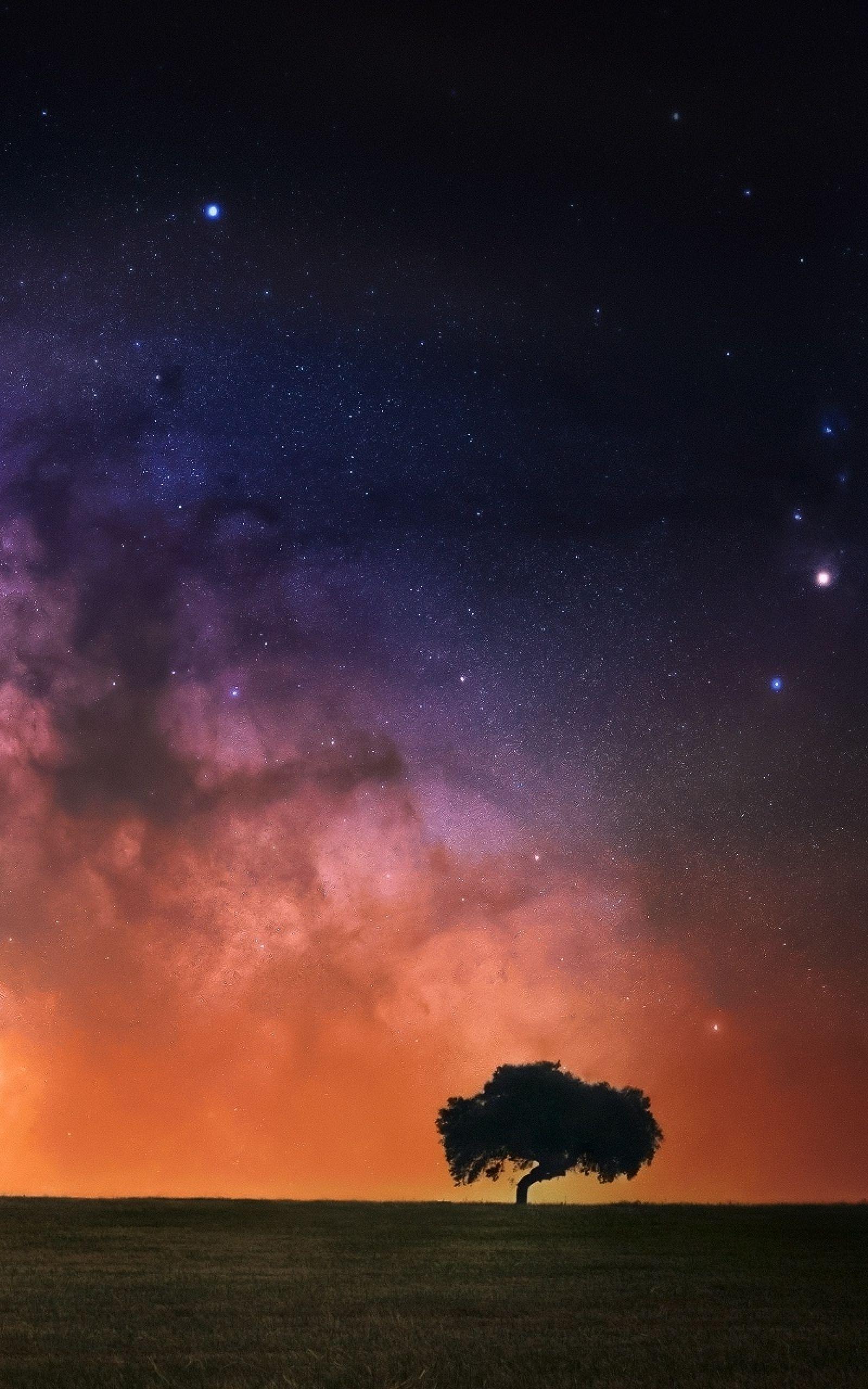 1600x2560 Starry Sky Wallpaper HD HD Wallpaper